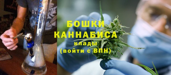 гидра Мегион