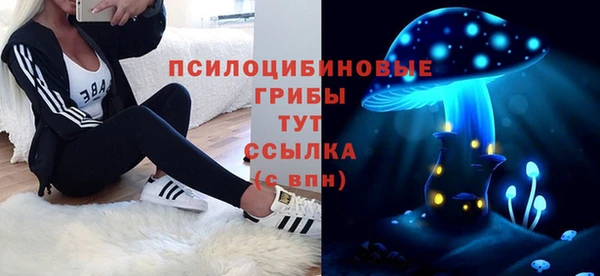 метадон Медногорск