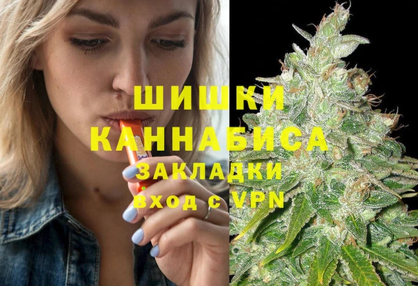 гидра Мегион