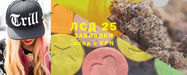 гидра Мегион