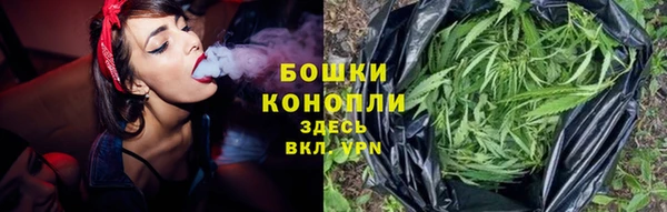 метадон Медногорск